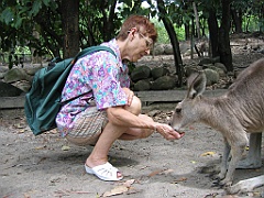055 Cairns Tropical Zoo